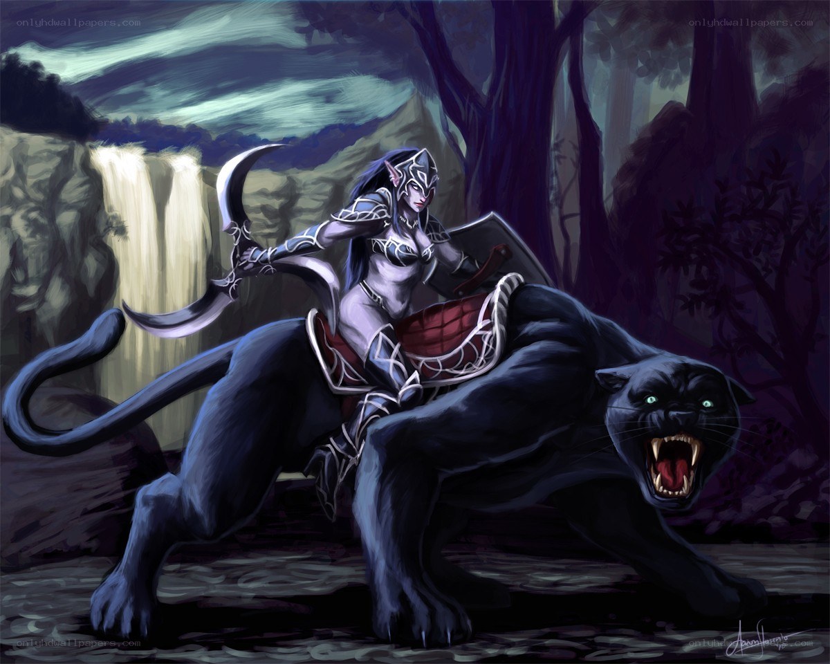 elf warrior on black panther