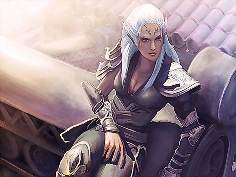 Elf Warrior Sitting