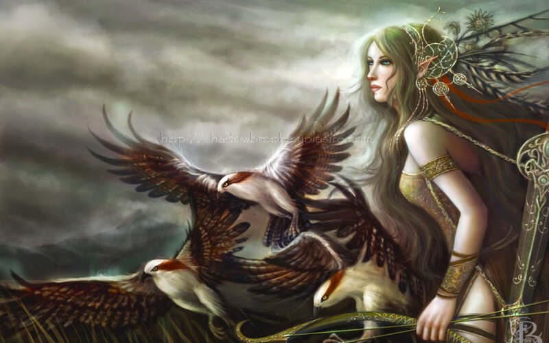 elf warrior with birds