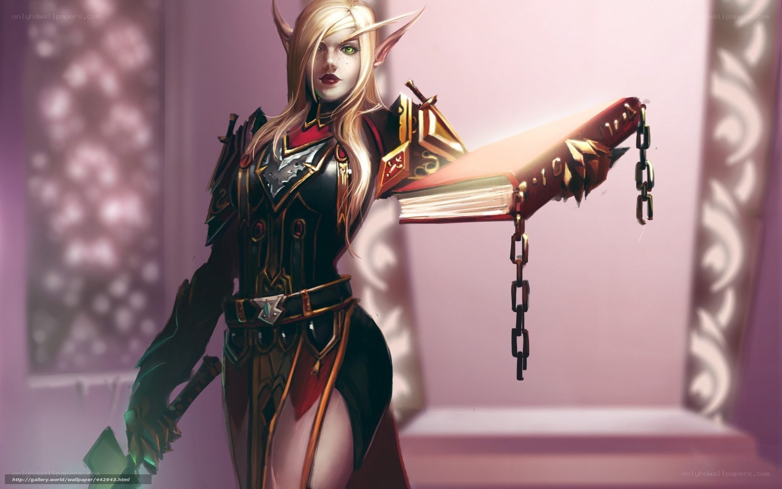 elf warrior with book
