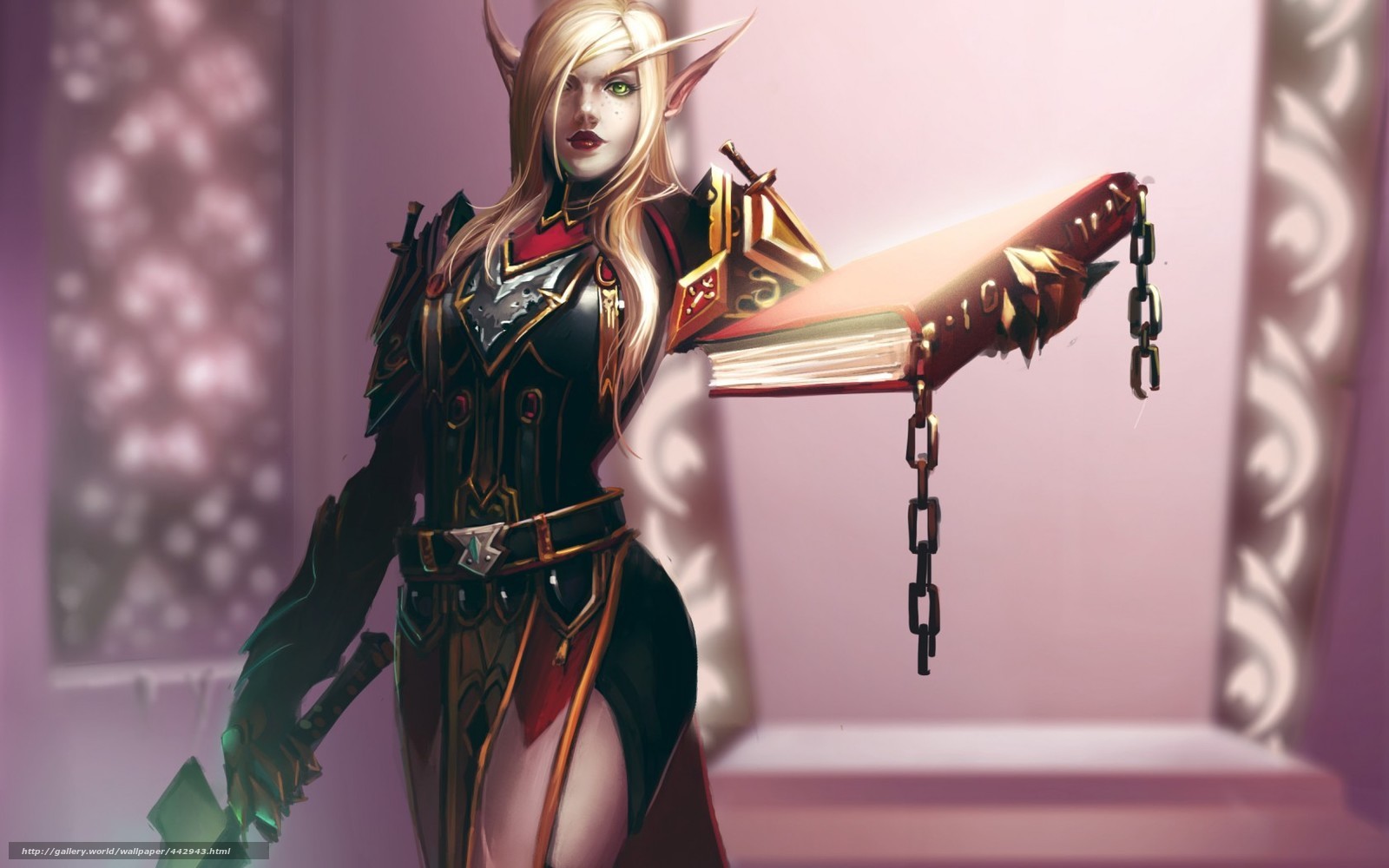 elf warrior with book
