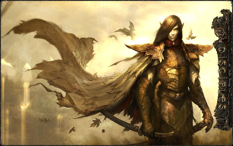 elf warrior with cape