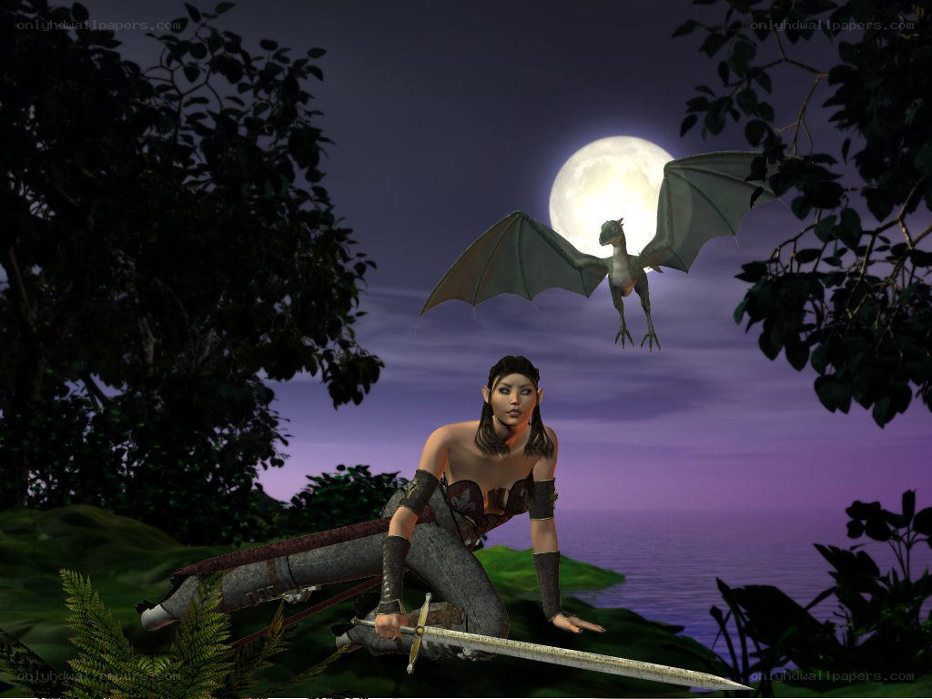 elf warrior with dragon at night