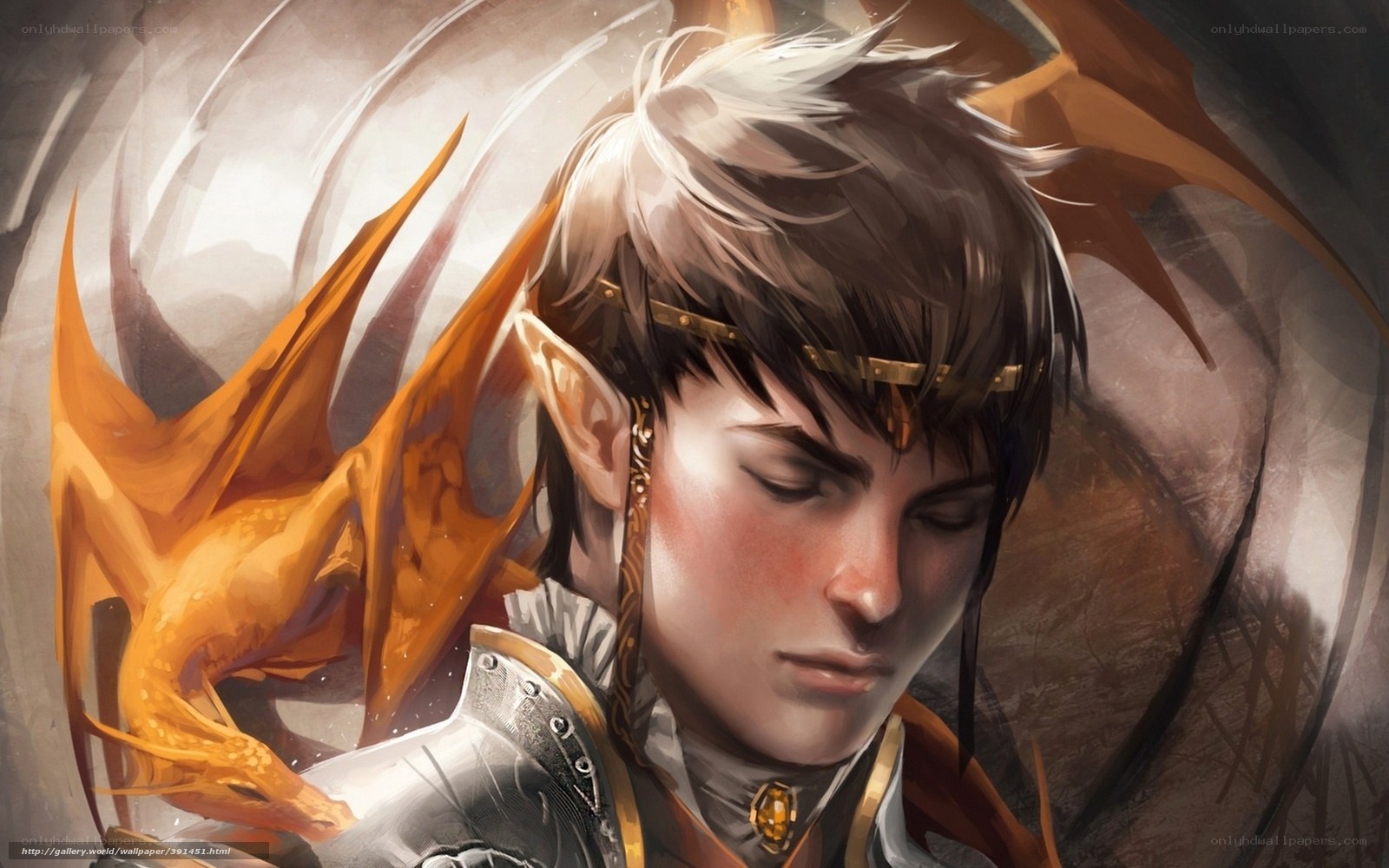 elf warrior with dragon companion