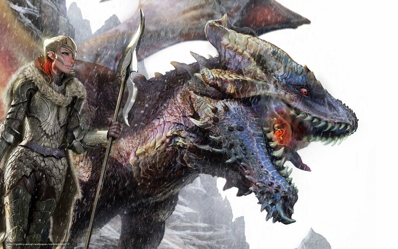 elf warrior with dragon