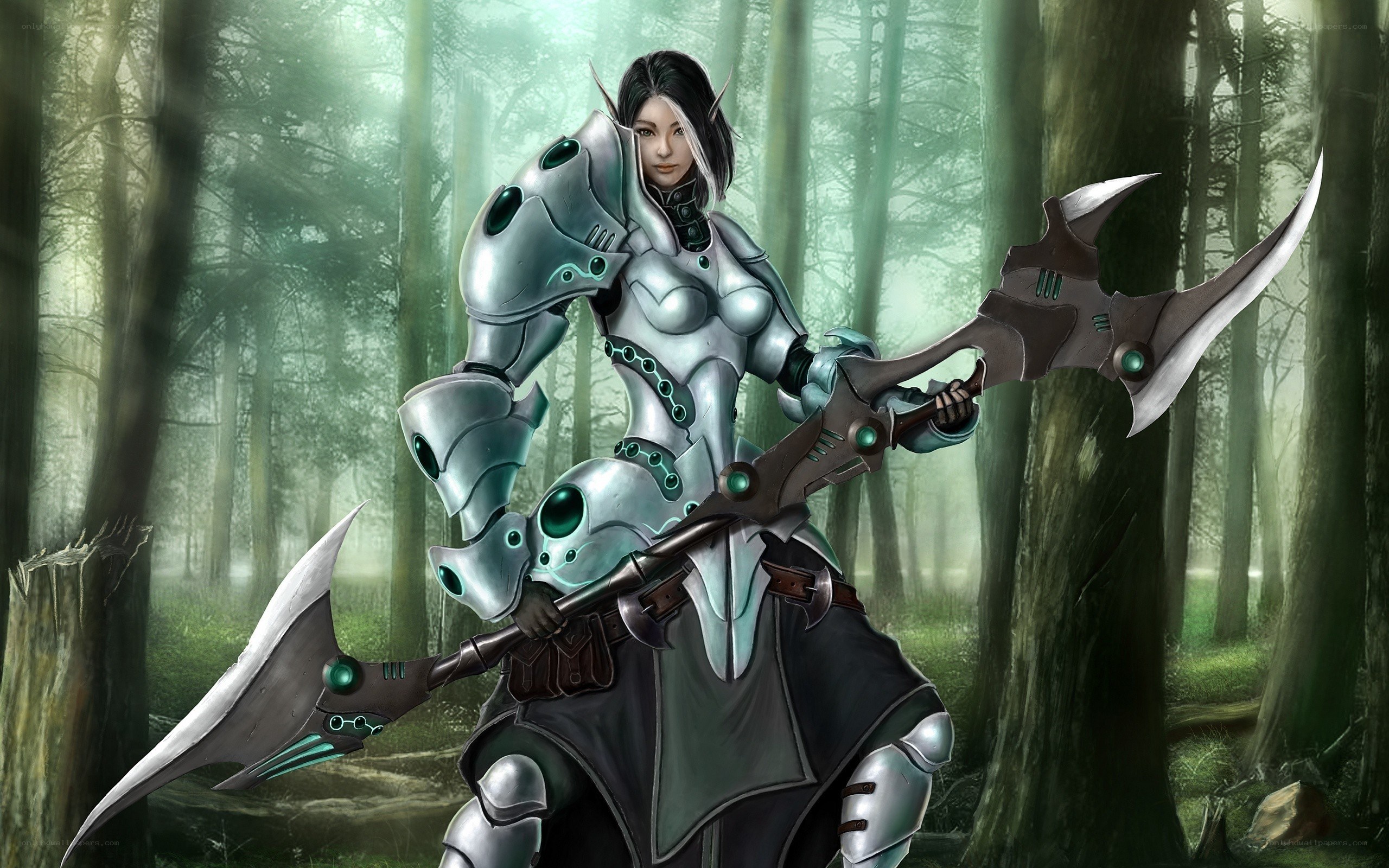 elf warrior with dual axes