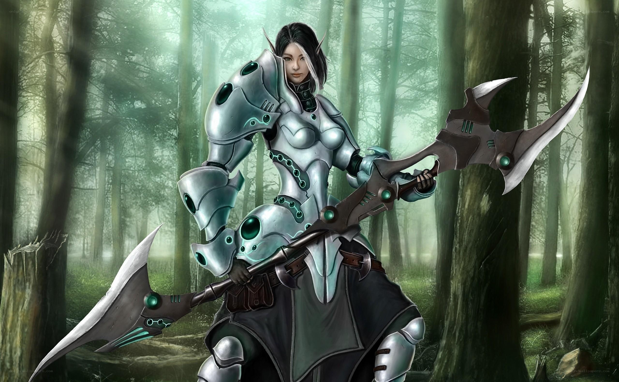 elf warrior with dual axes