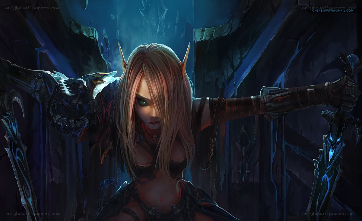 elf warrior with dual blades