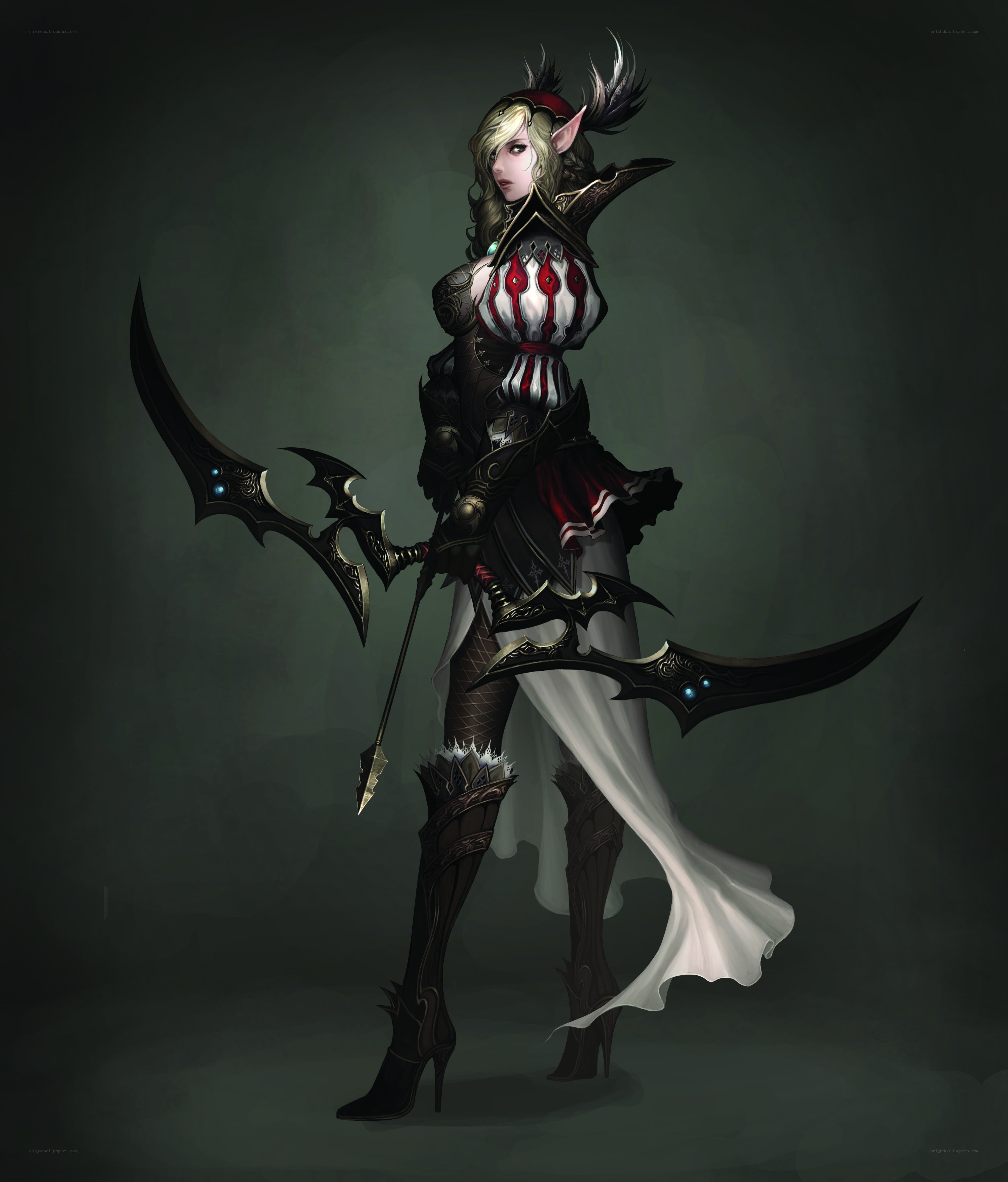 elf warrior with dual blades