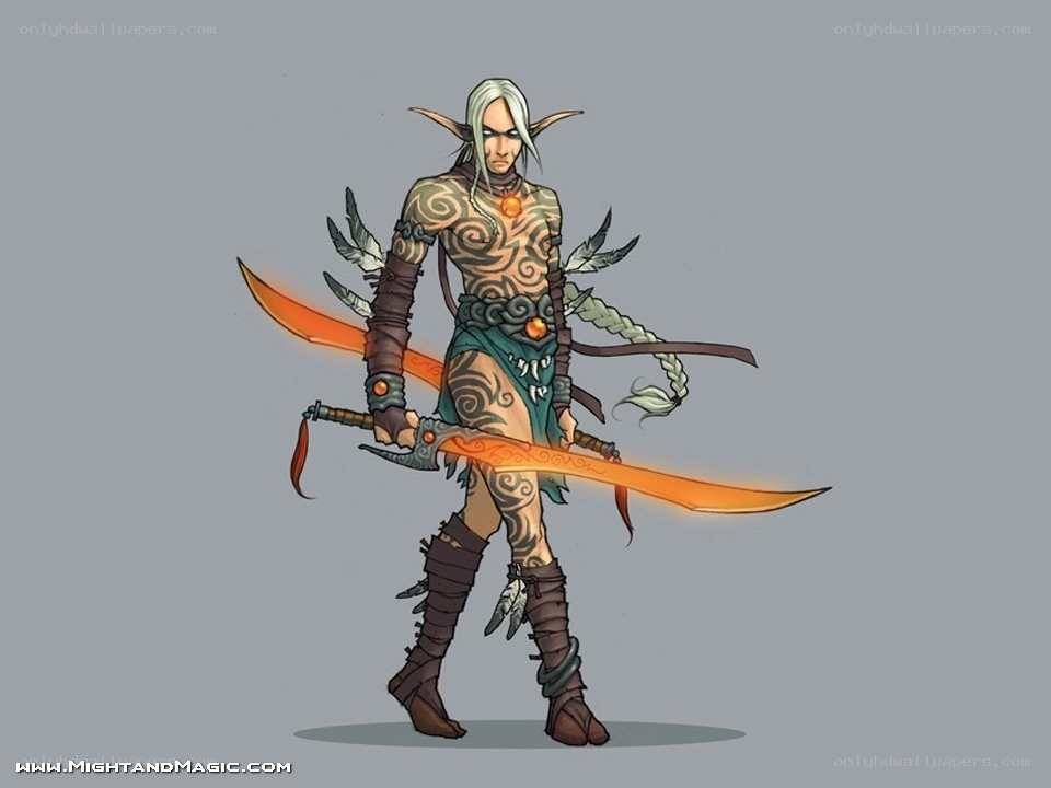 elf warrior with dual swords