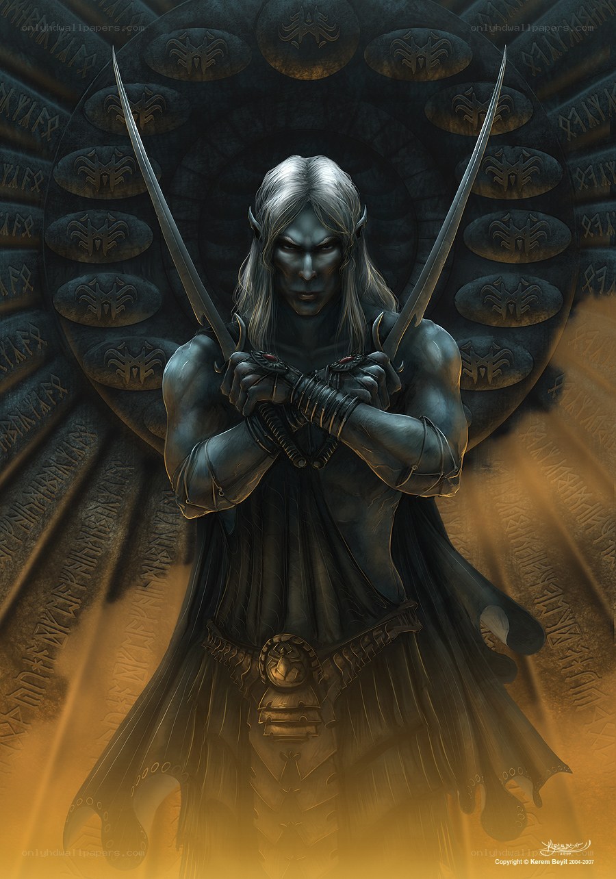 elf warrior with dual swords