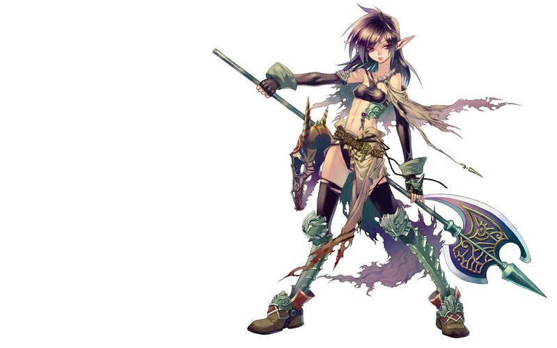 elf warrior with dual weapons