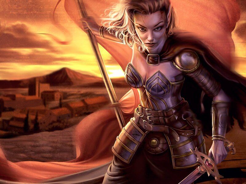 elf warrior with flag