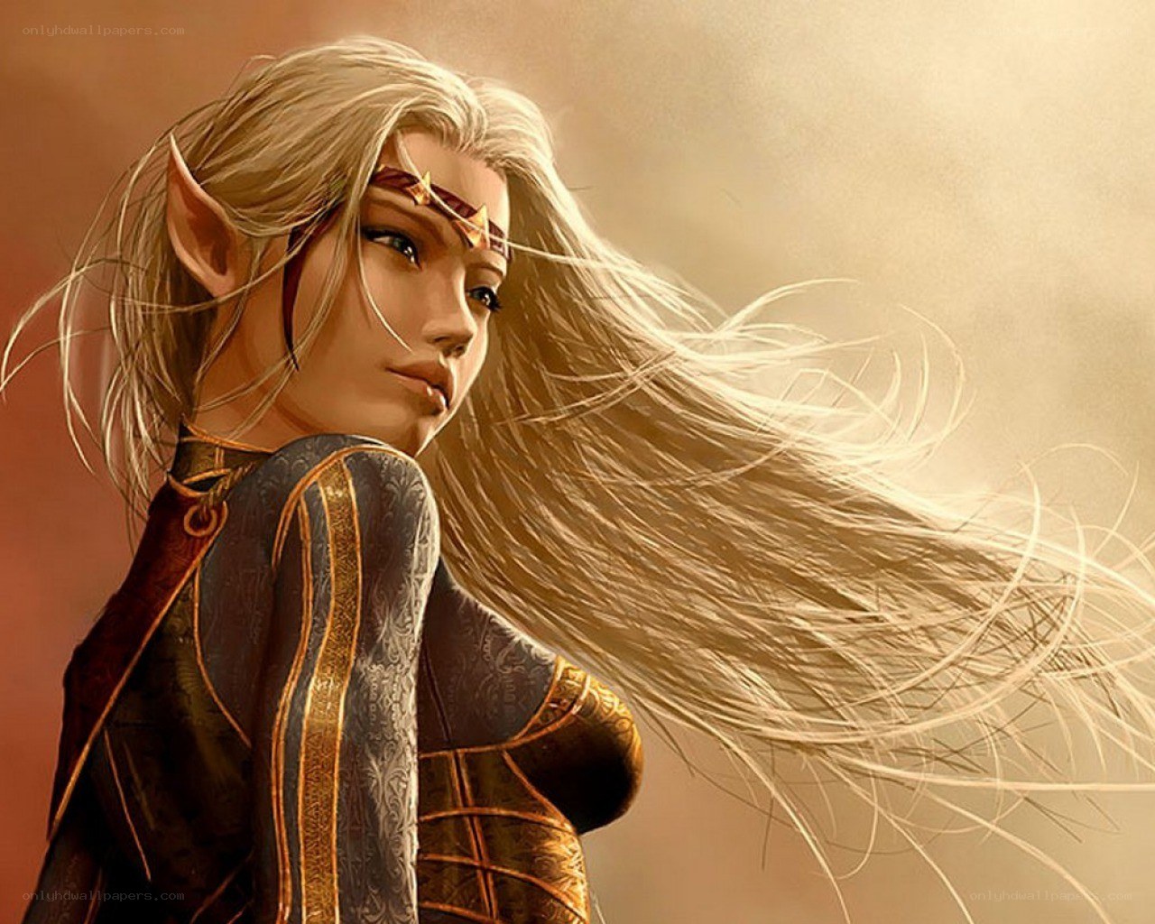 elf warrior with flowing hair