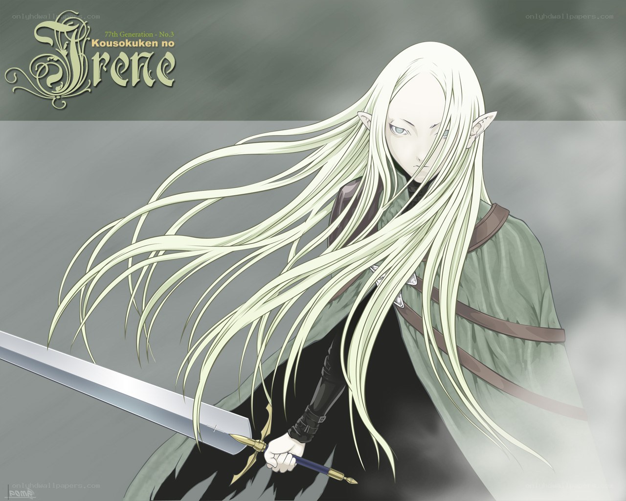 elf warrior with long hair