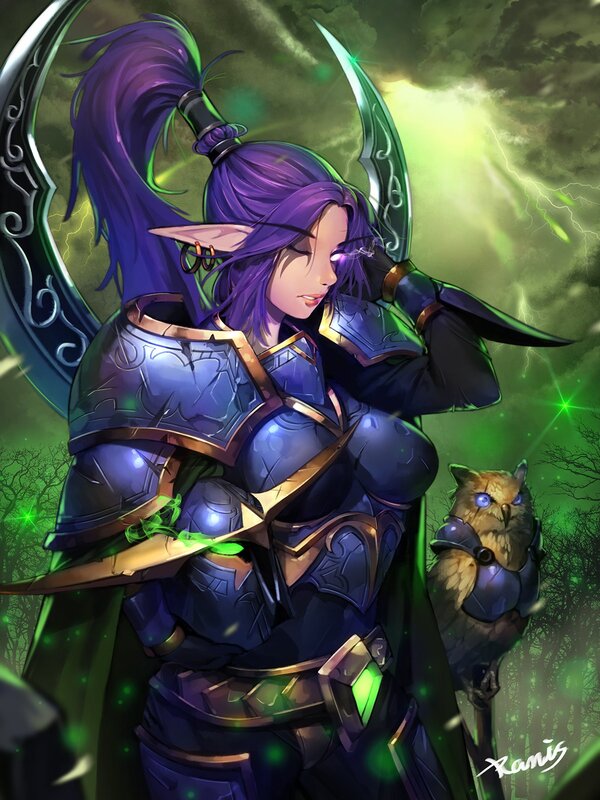 Elf Warrior with Owl
