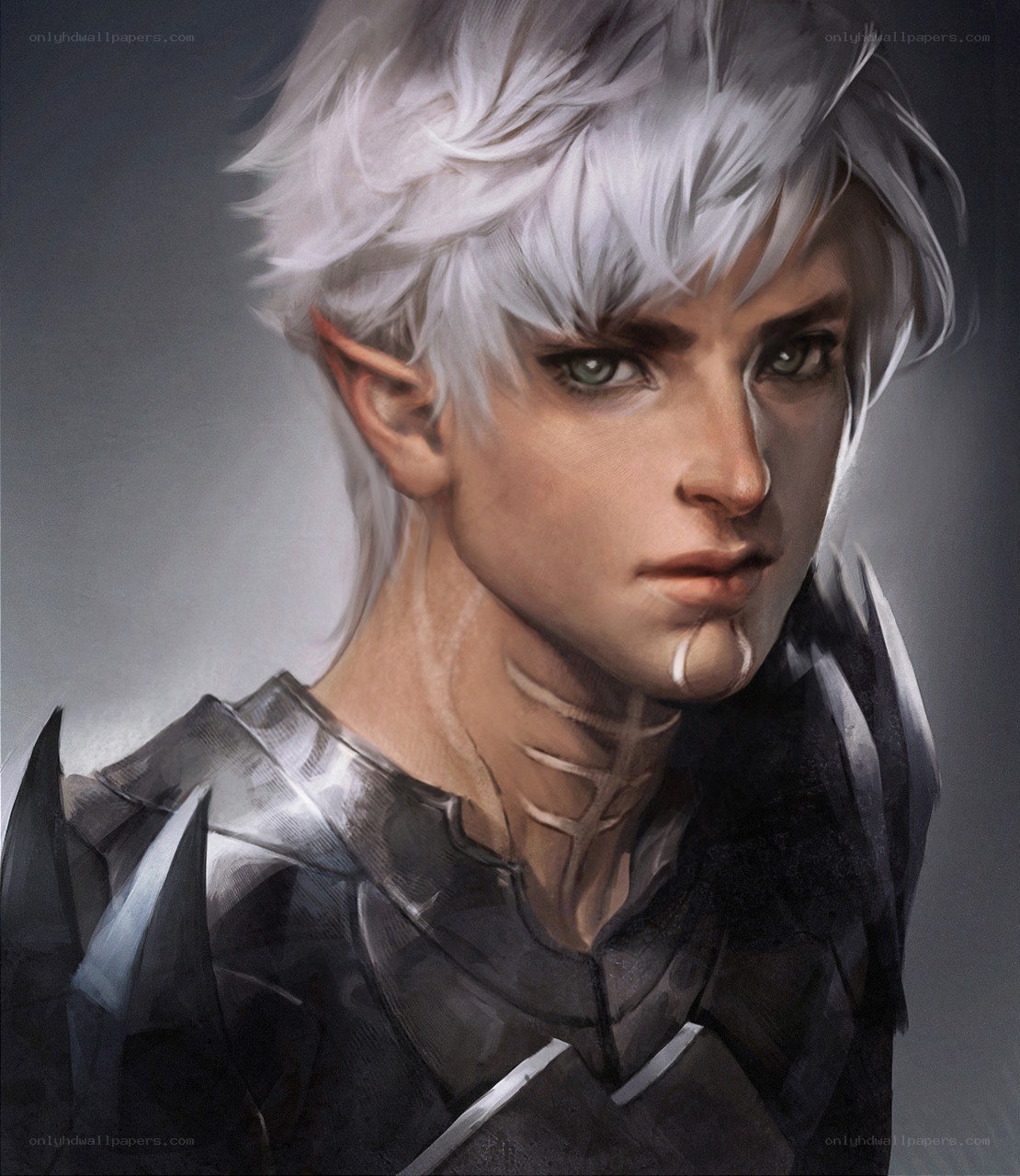 elf warrior with silver hair