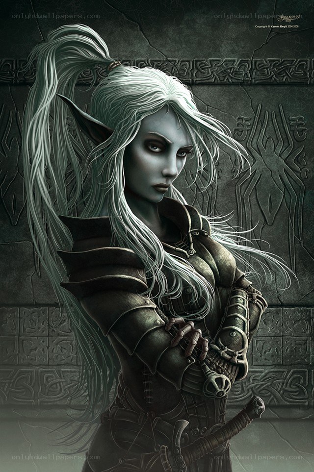 elf warrior with silver hair