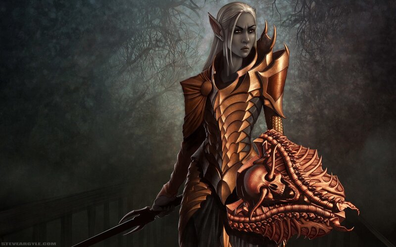 elf warrior with skull shield