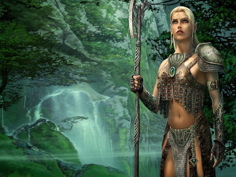 elf warrior with staff