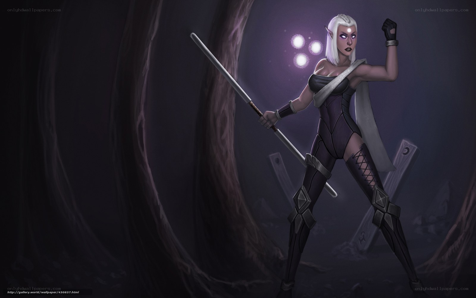 elf warrior with staff