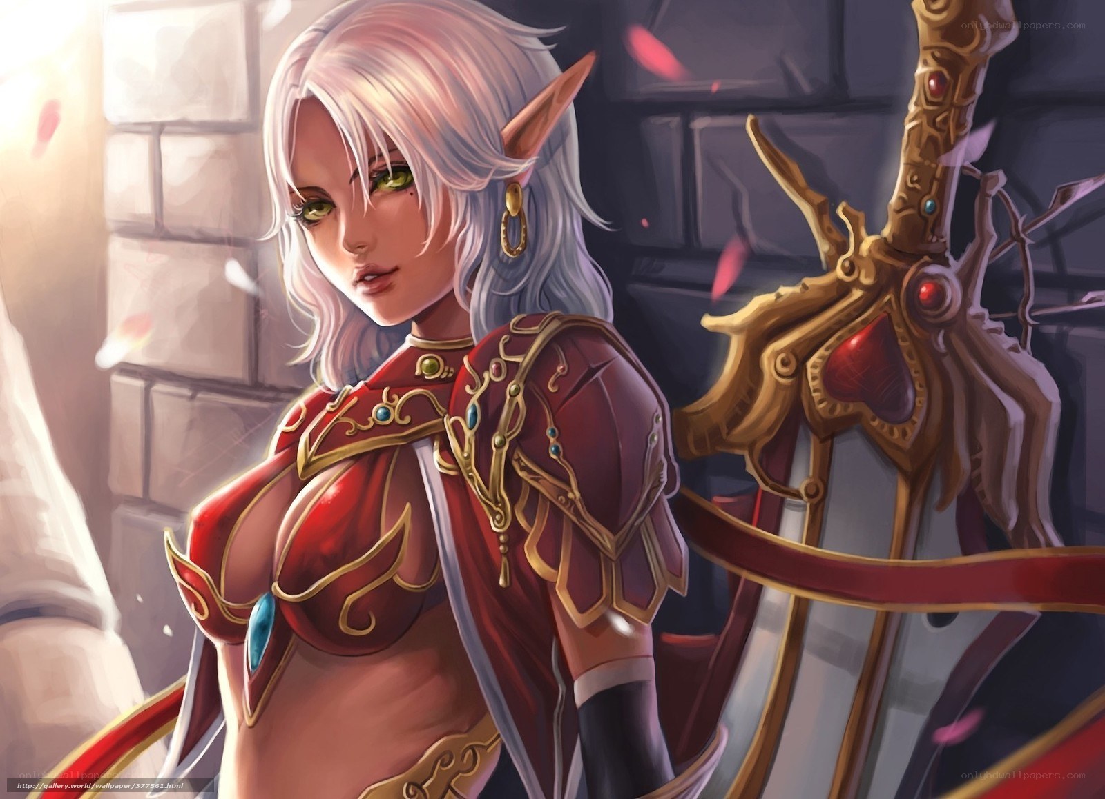 elf warrior with sword