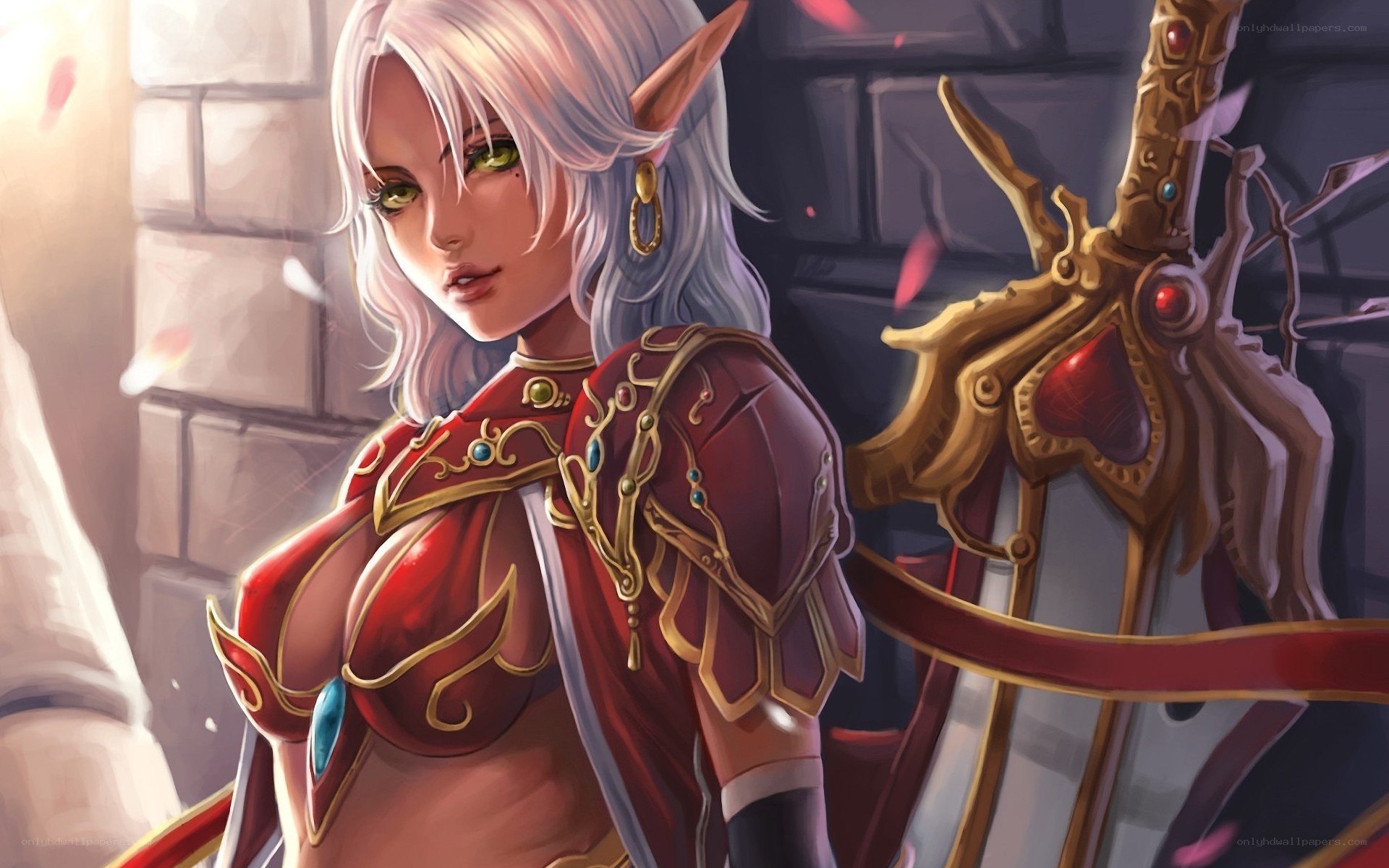 elf warrior with sword