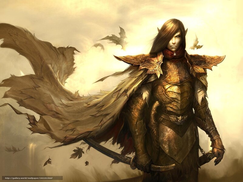elf warrior with sword