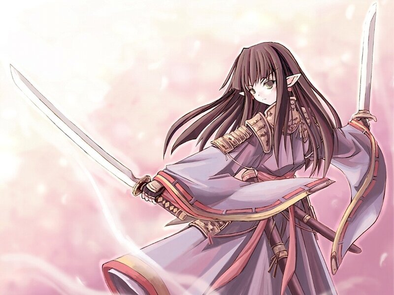 Elf Warrior with Swords — Purple, Dramatic, Anime