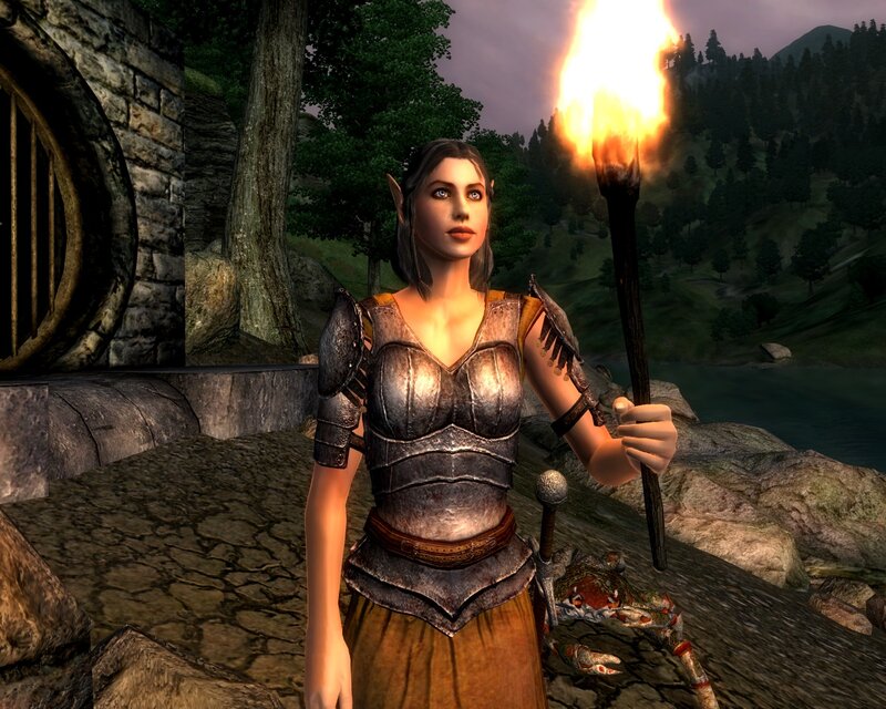 Elf Warrior with Torch