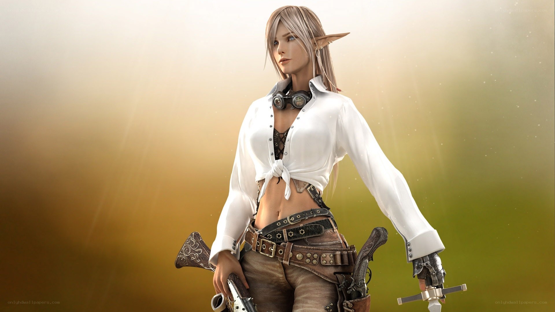 elf warrior with weapons