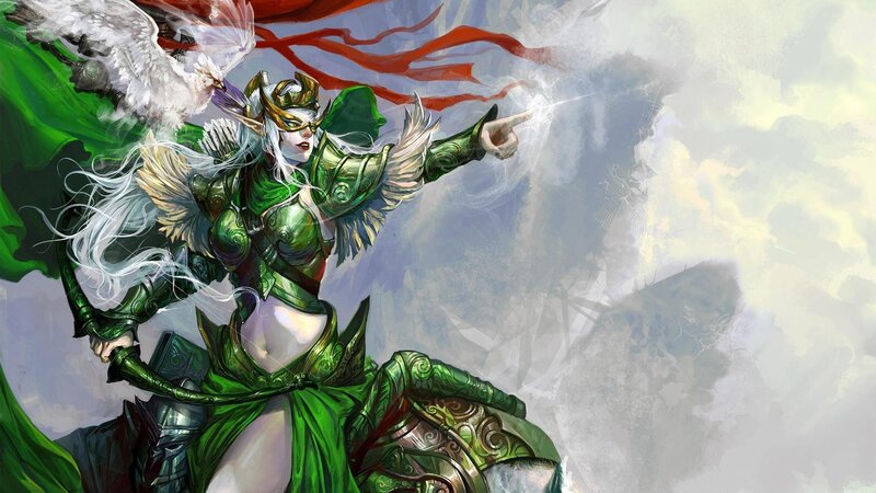 elf warrior with white bird