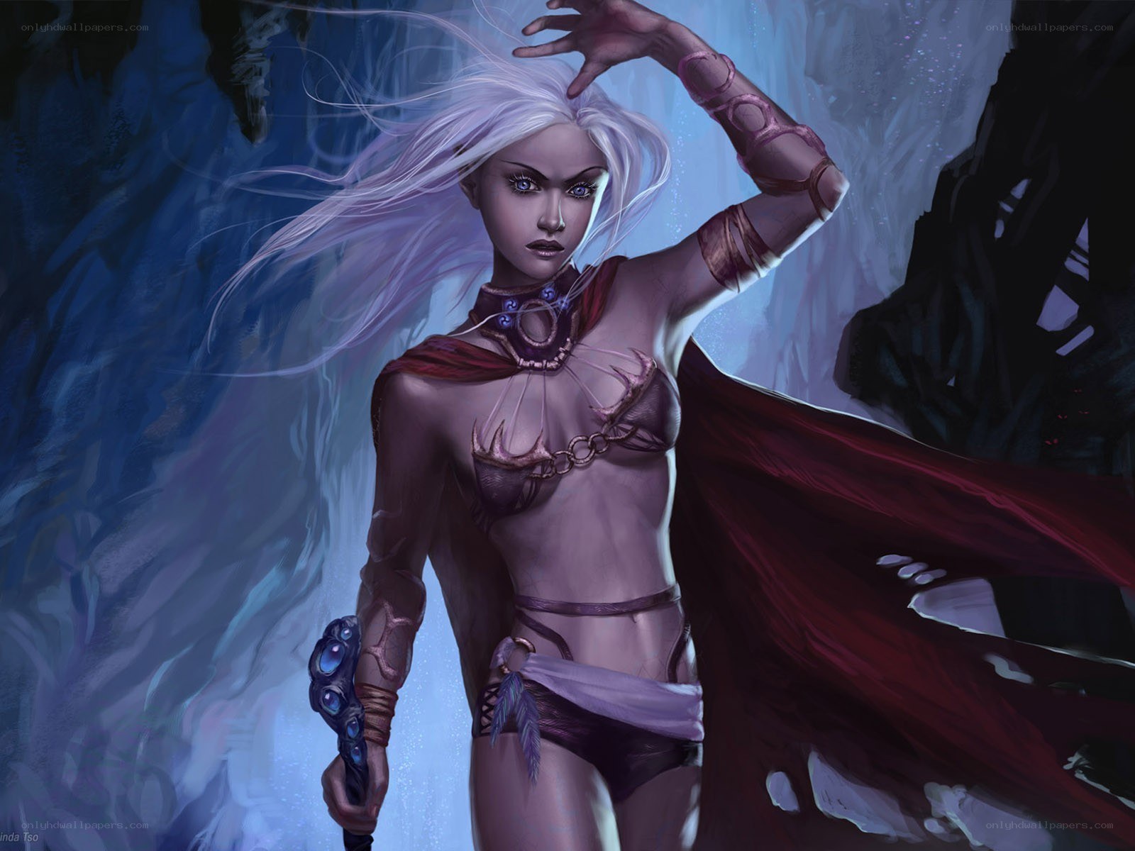 elf warrior with white hair