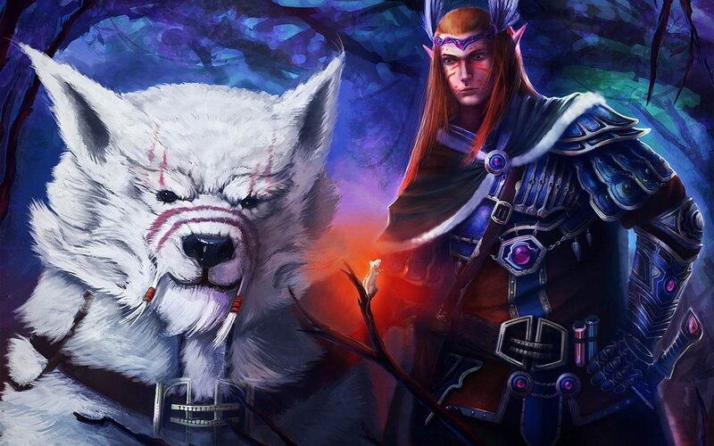 Elf Warrior with White Wolf