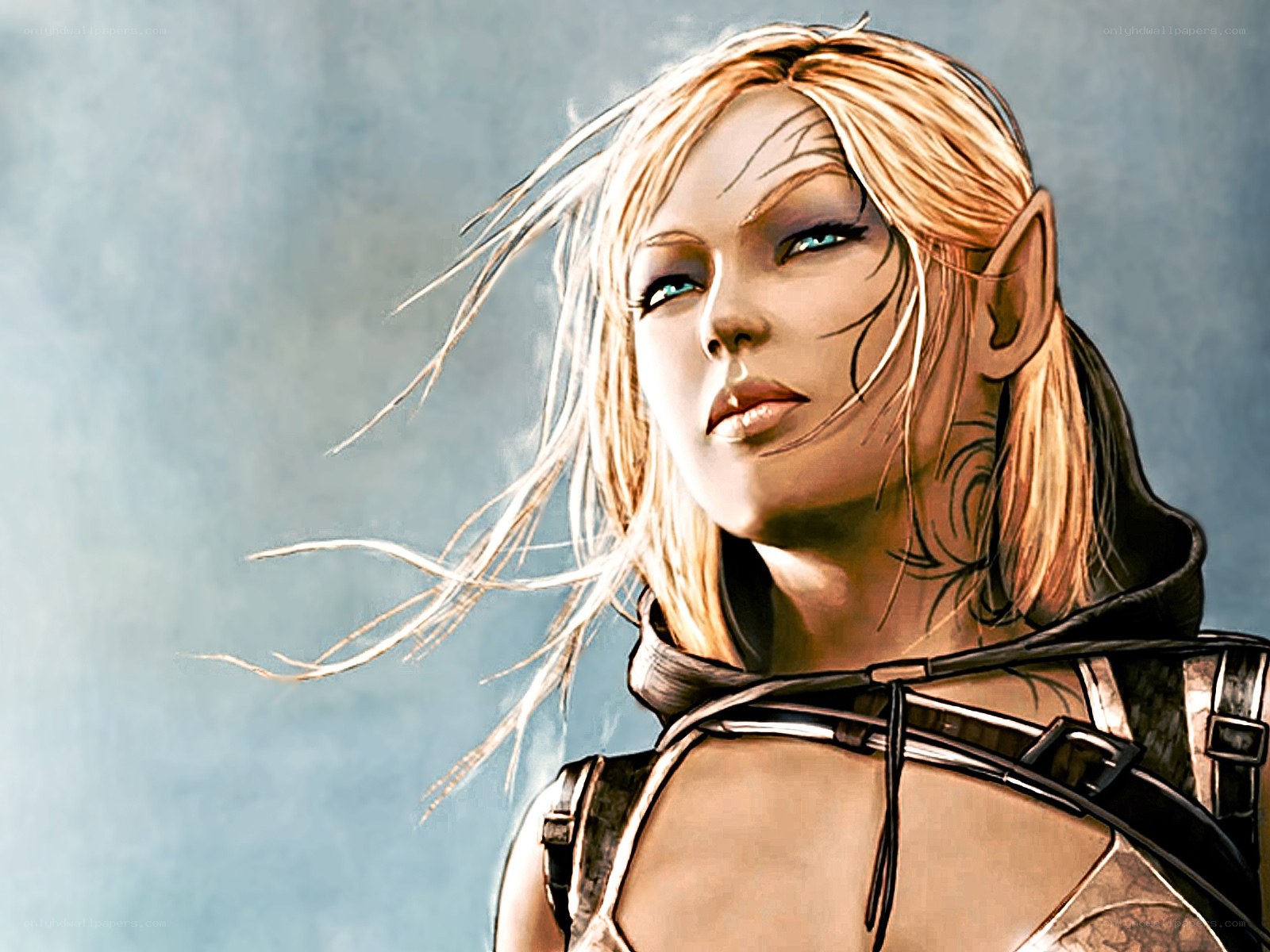 elf warrior with wind-blown hair