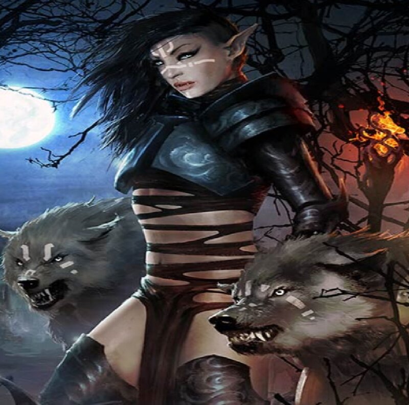 Elf Warrior with Wolves — Black