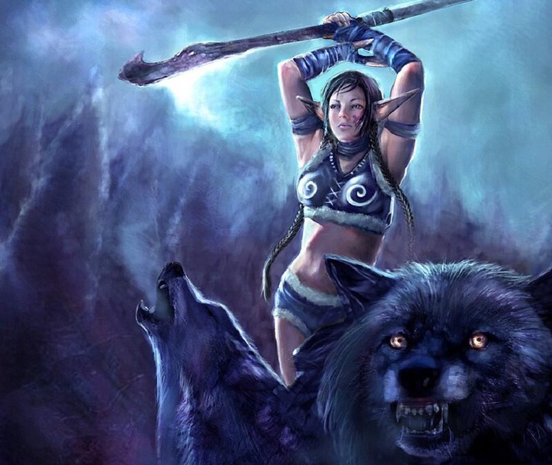 elf warrior with wolves