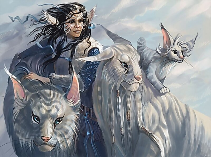 elf with cat companions