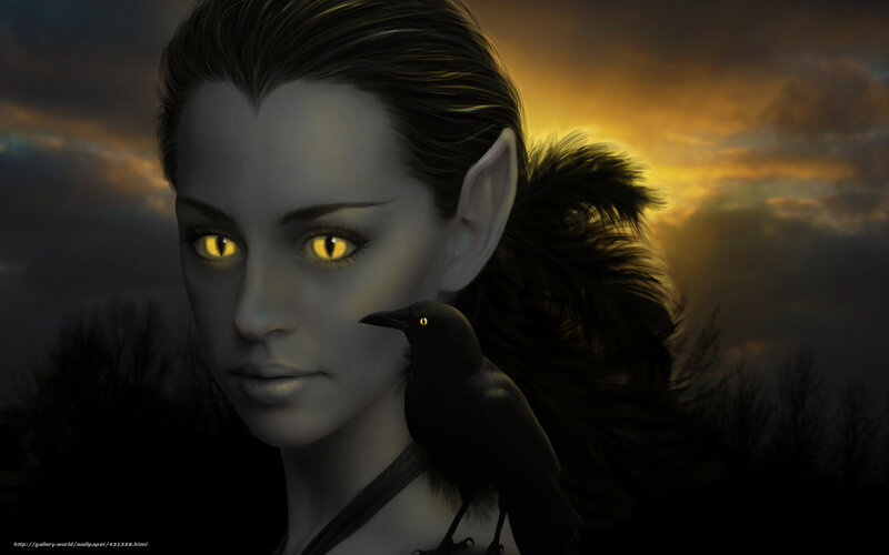 elf with crow at sunset
