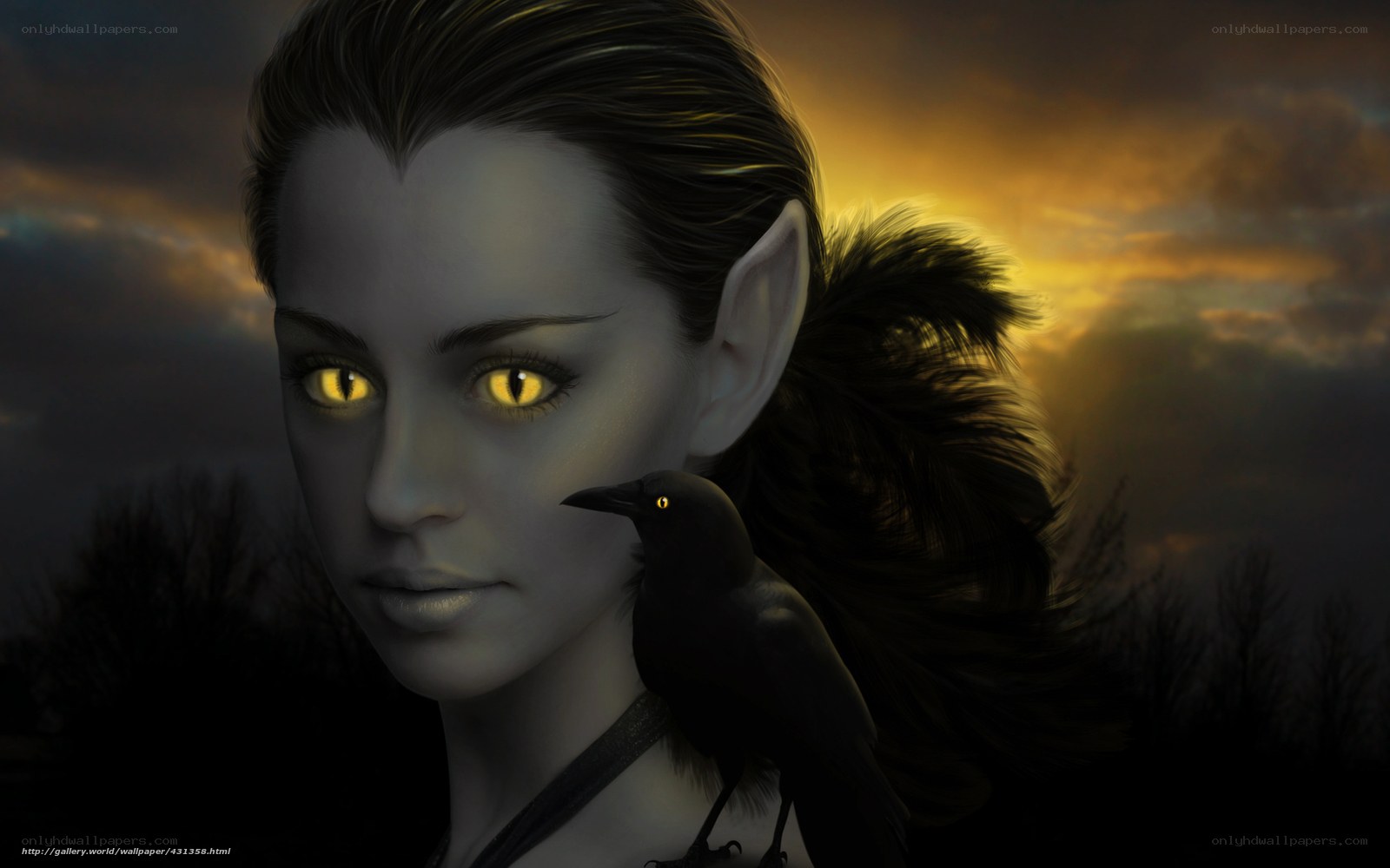 elf with crow at sunset