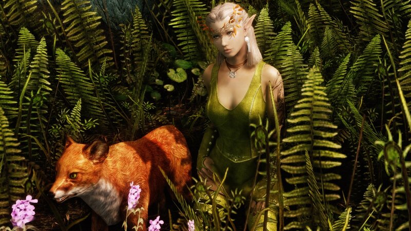 elf with fox in forest