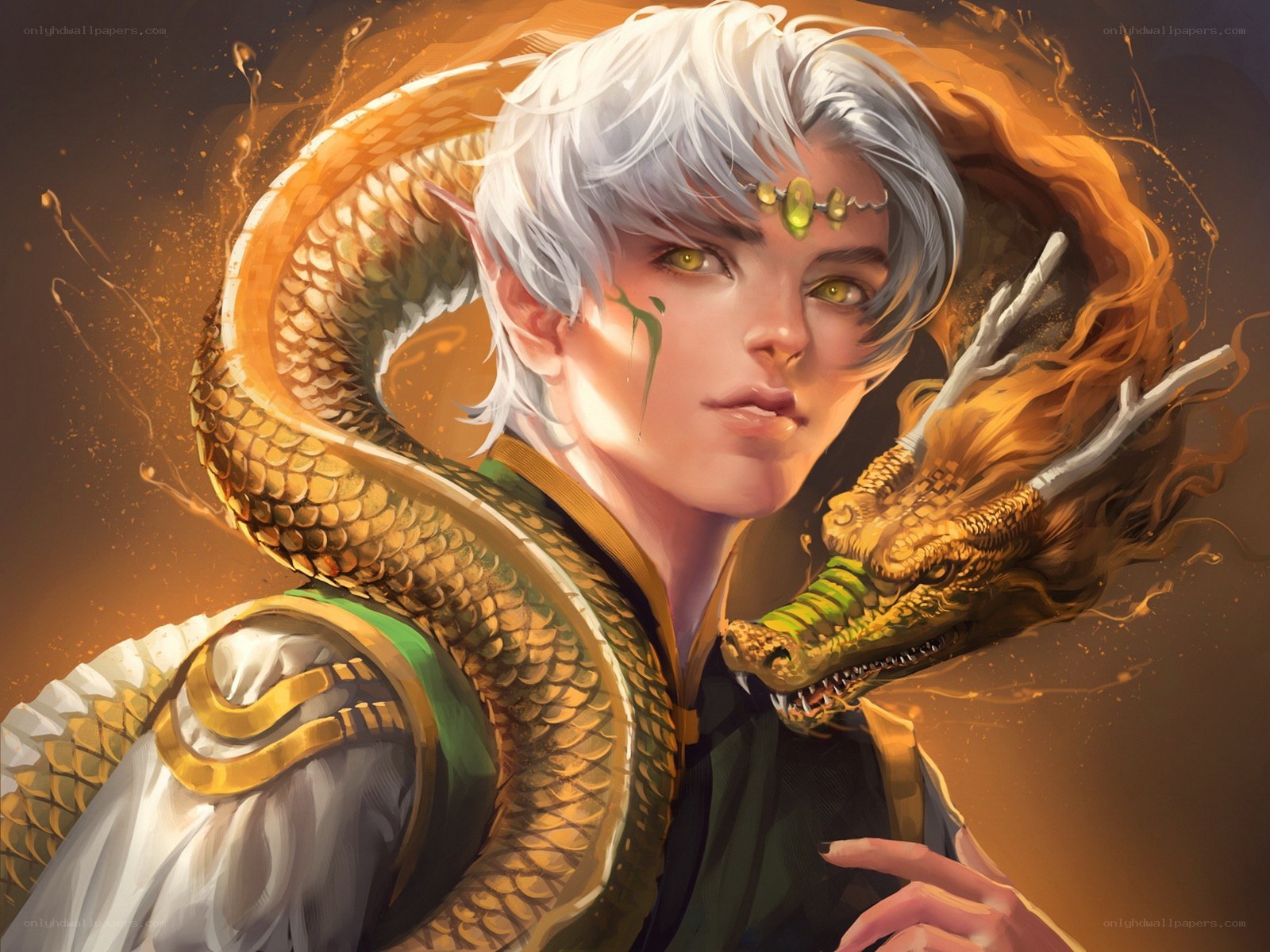 elf with golden dragon