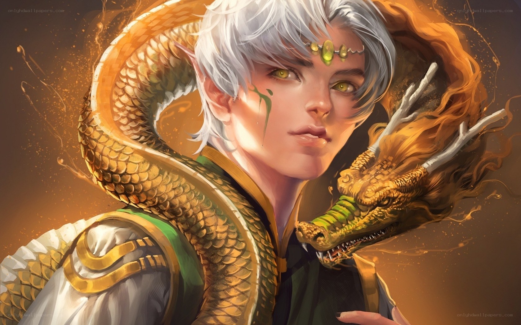 elf with golden dragon companion