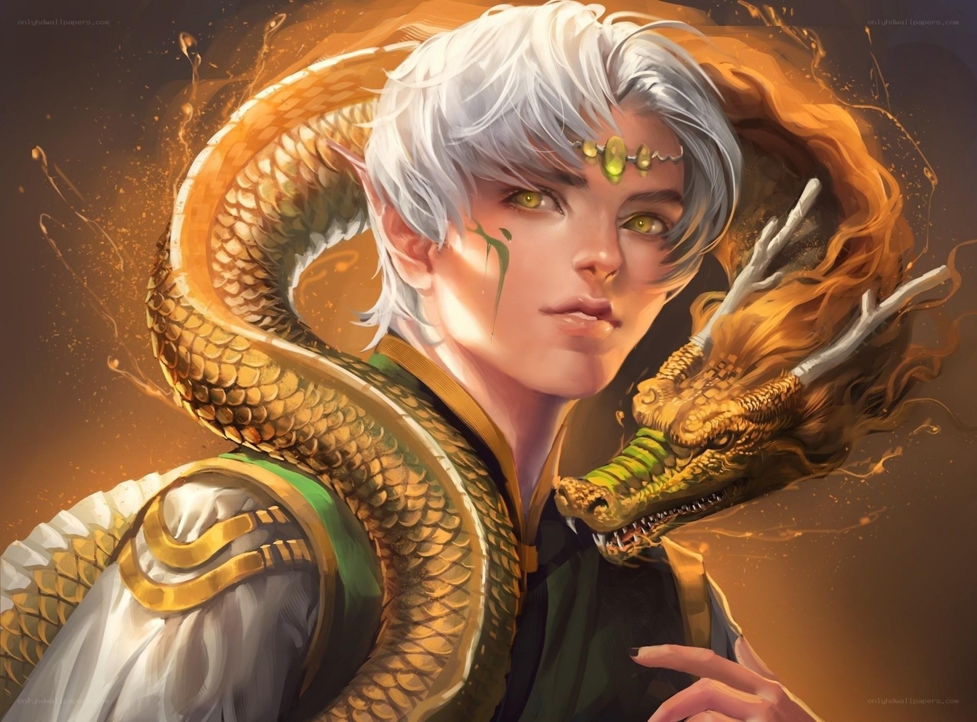 elf with golden dragon