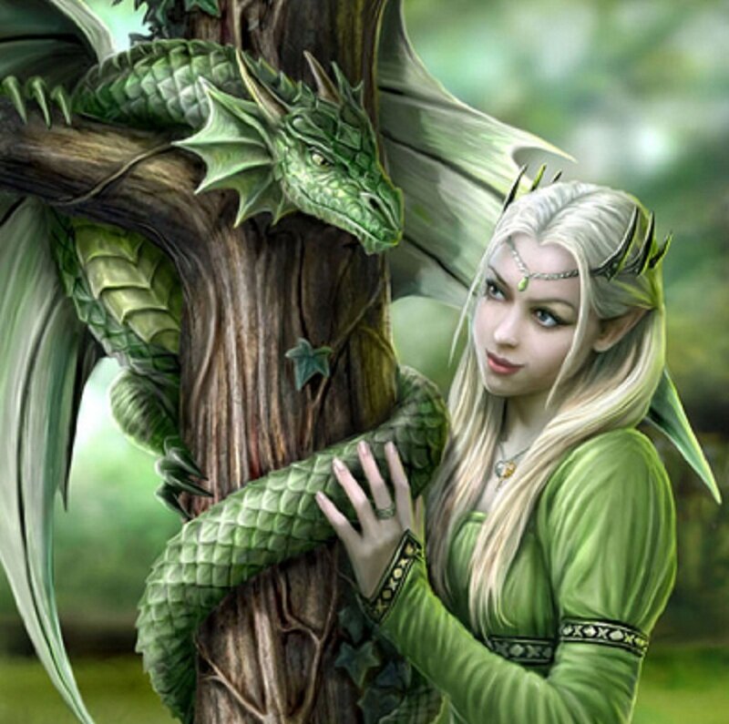 elf with green dragon