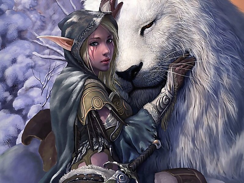 elf with white wolf companion