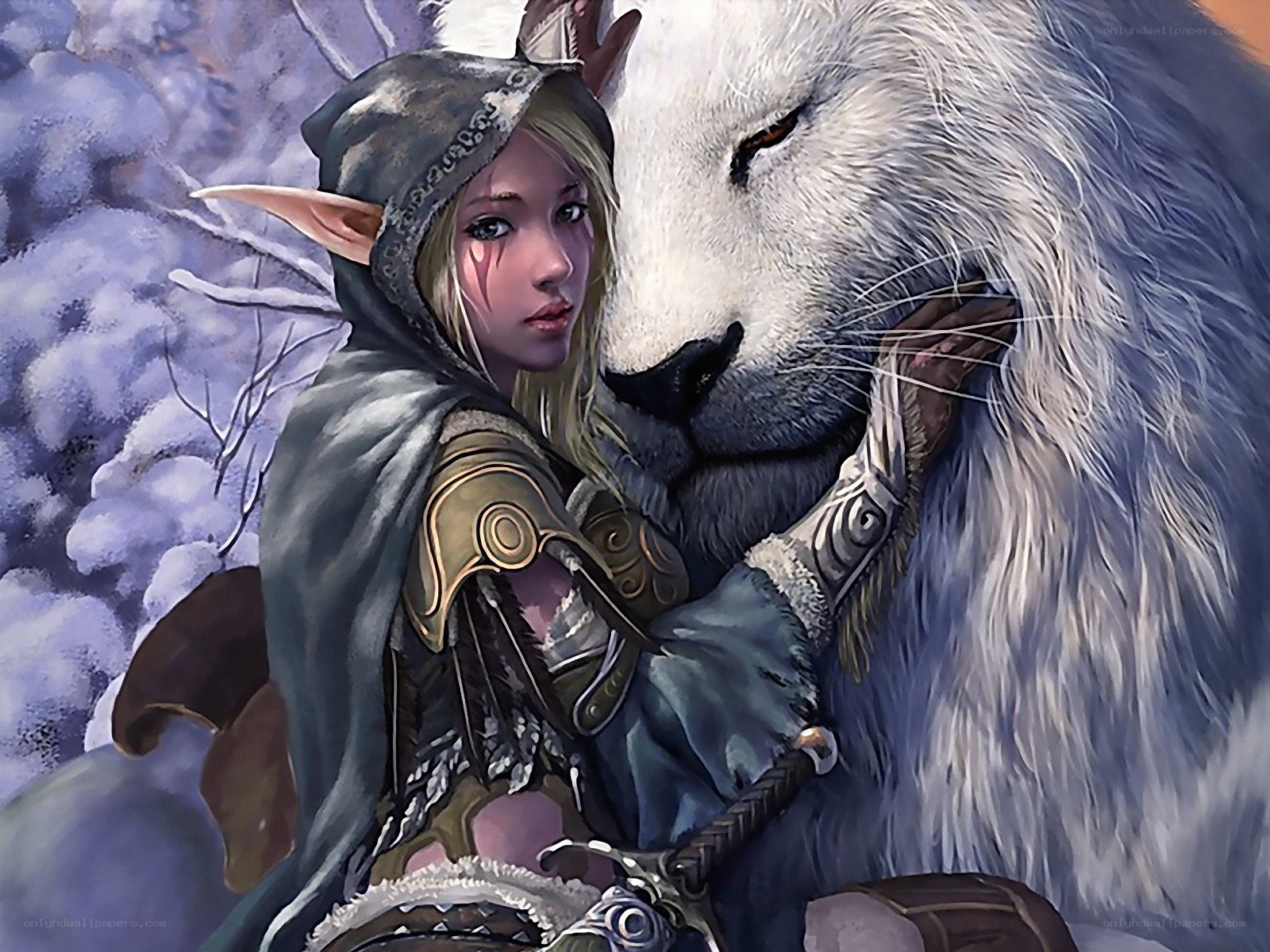 elf with white wolf companion