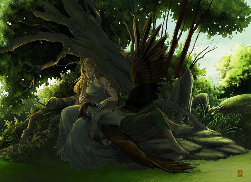 elf with wounded companion