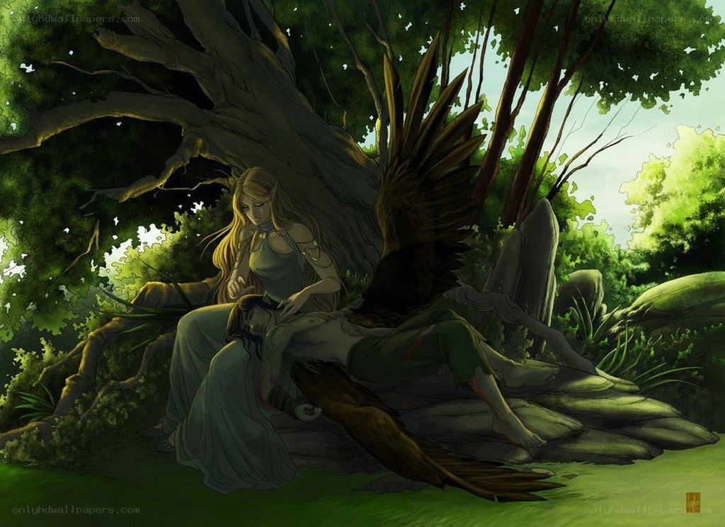 elf with wounded companion