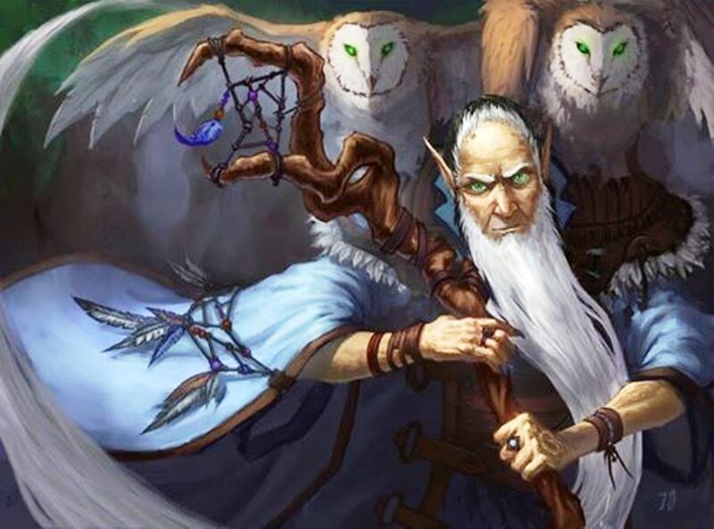 Elf Wizard with Owls